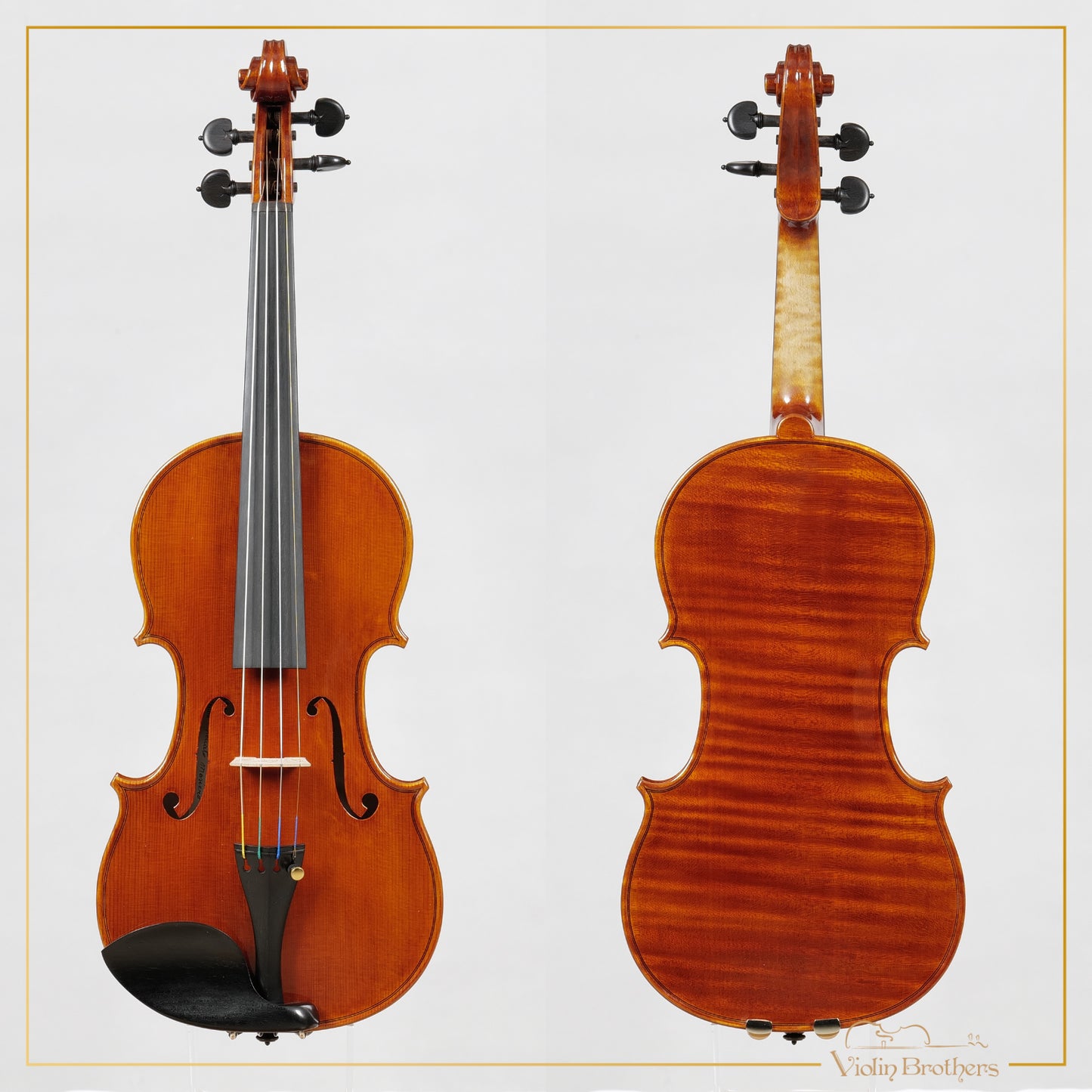 New Italian Violin - Renato Nasiero 2025 | N21415