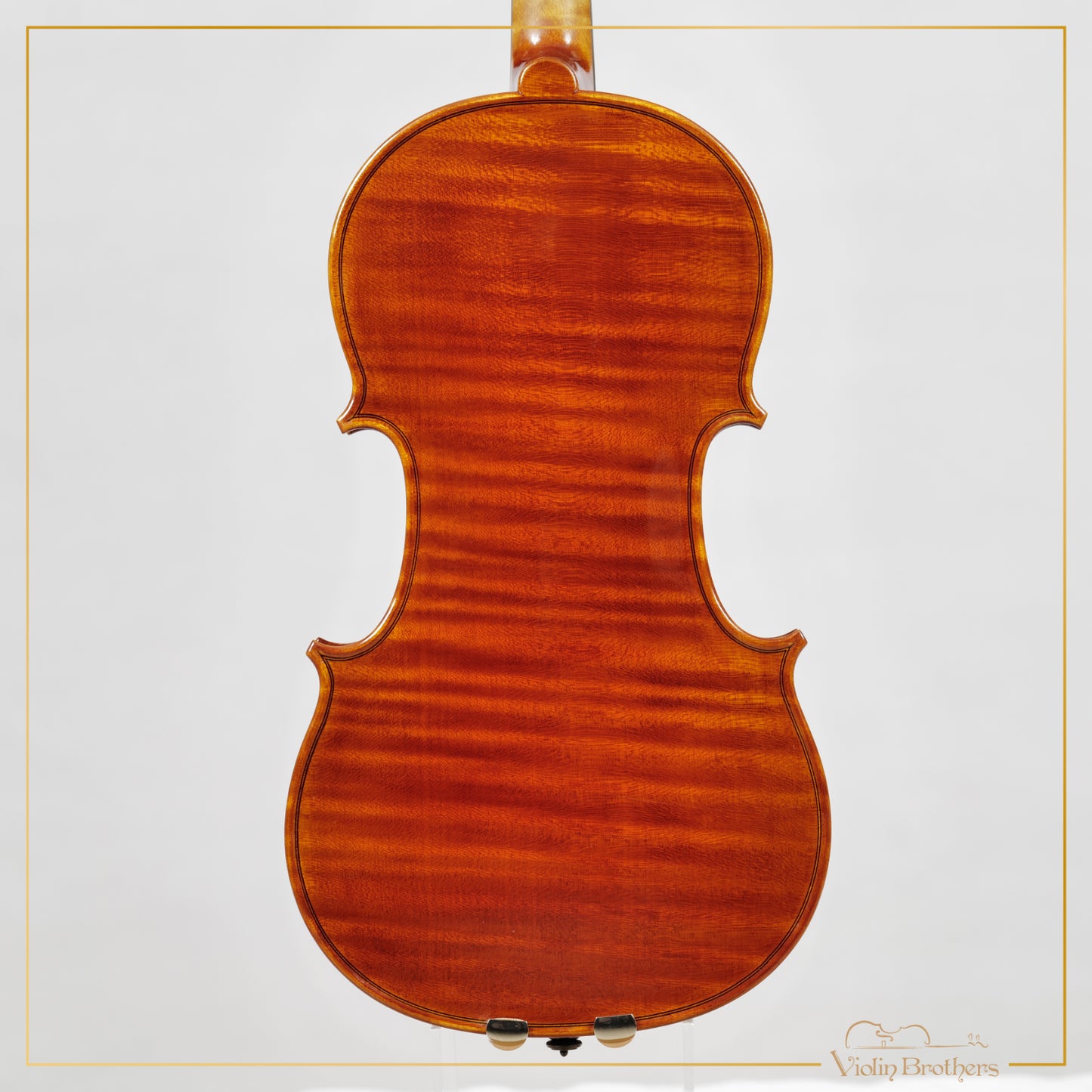 New Italian Violin - Renato Nasiero 2025 | N21415
