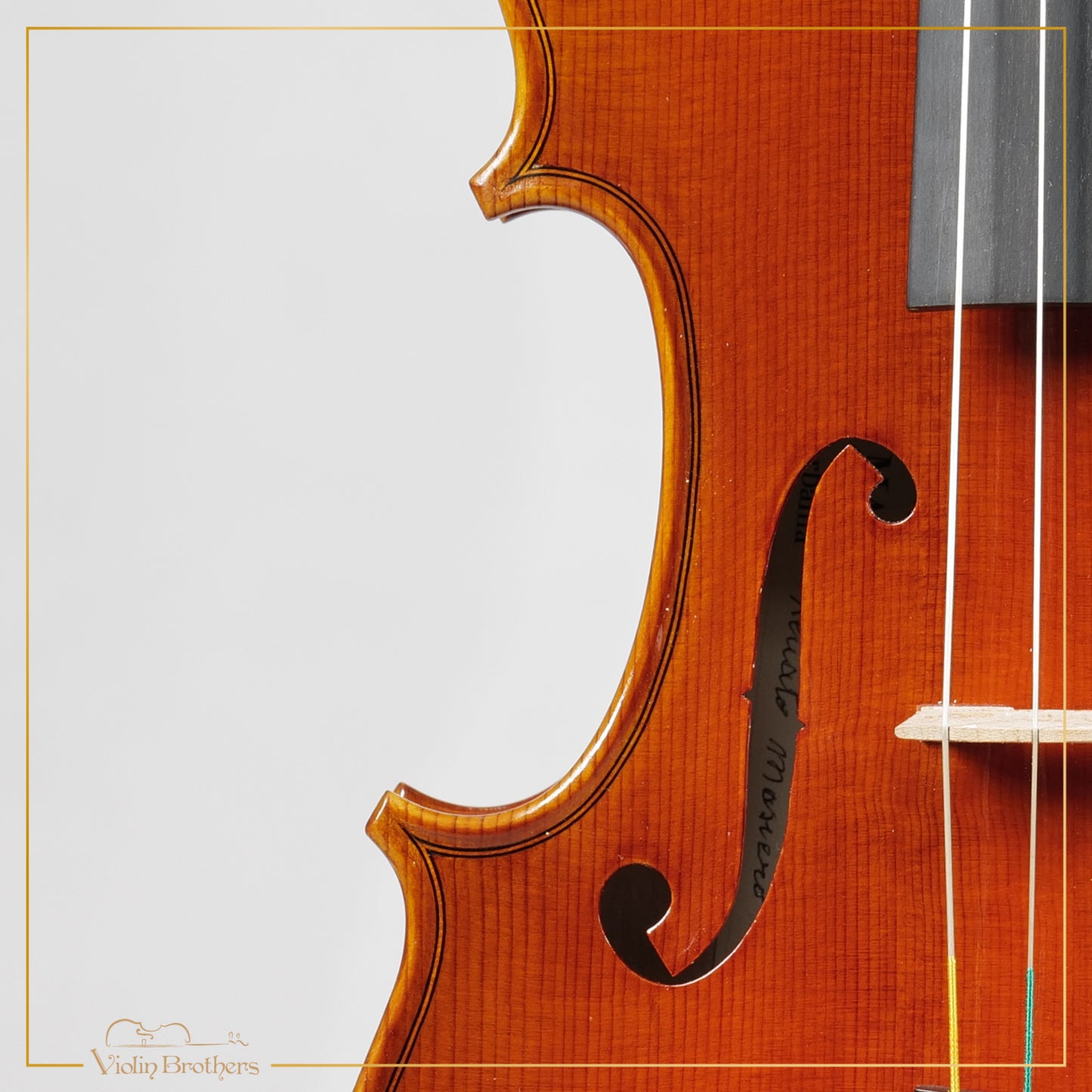 New Italian Violin - Renato Nasiero 2025 | N21415