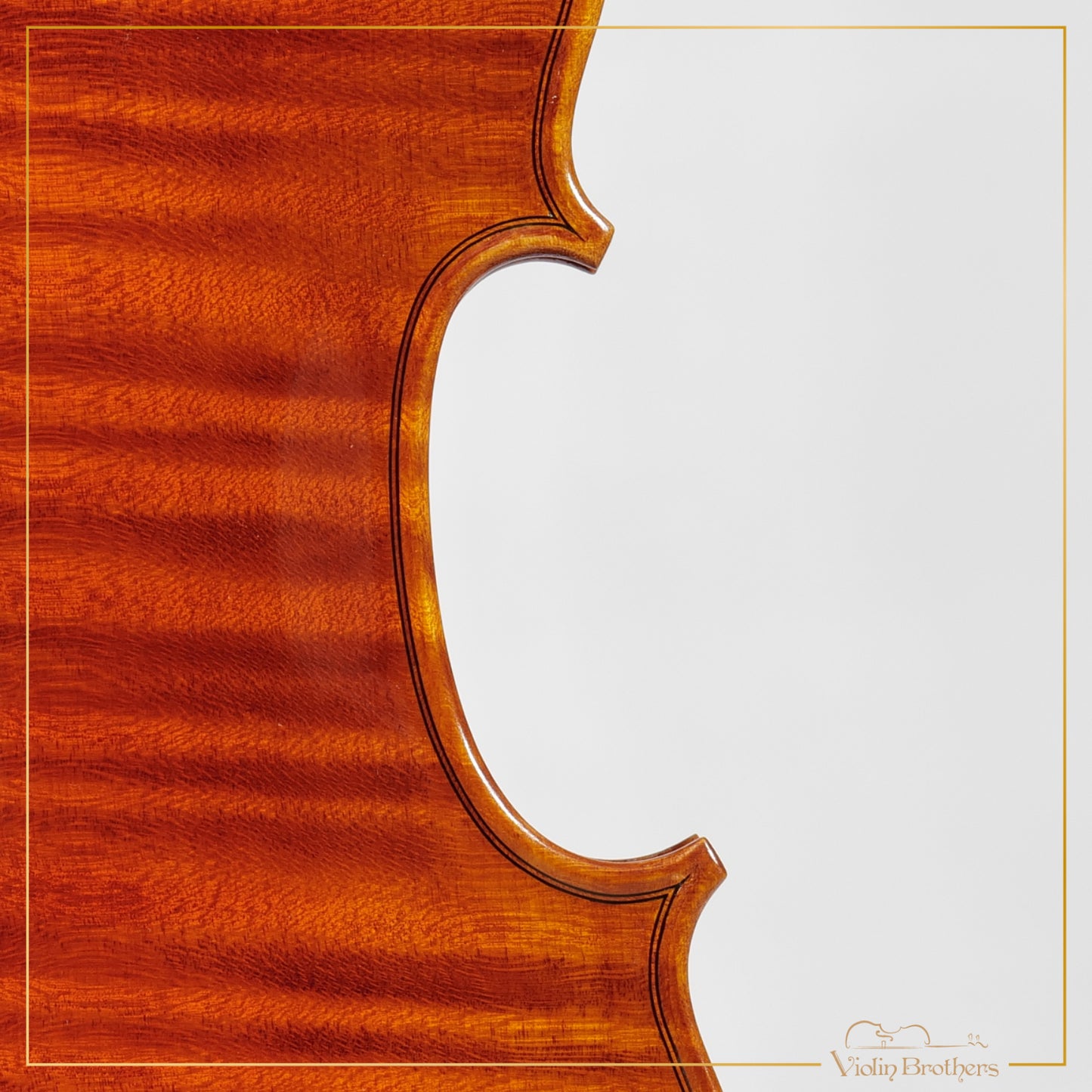 New Italian Violin - Renato Nasiero 2025 | N21415