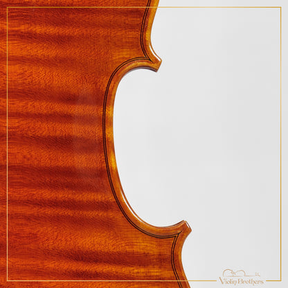 New Italian Violin - Renato Nasiero 2025 | N21415