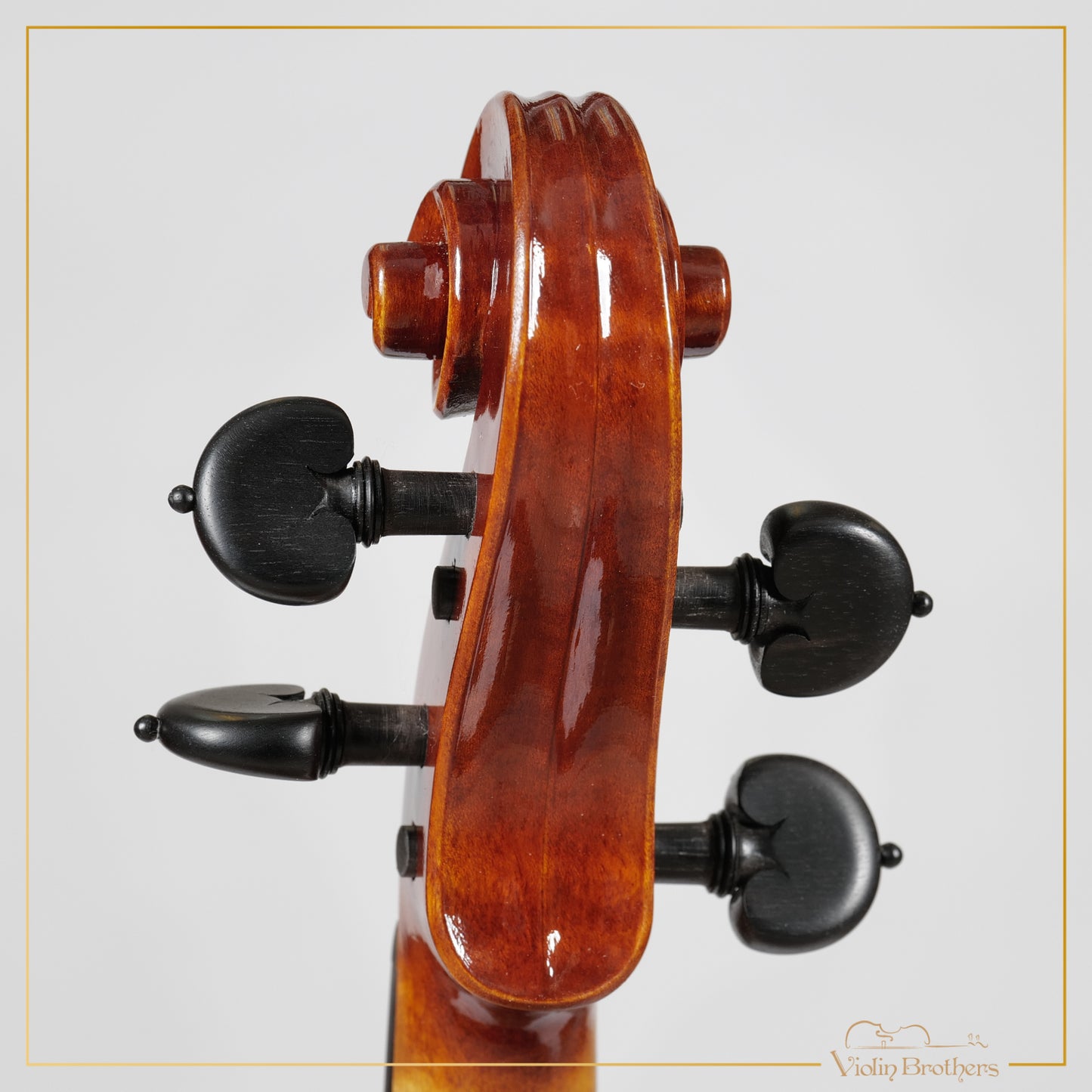 New Italian Violin - Renato Nasiero 2025 | N21415