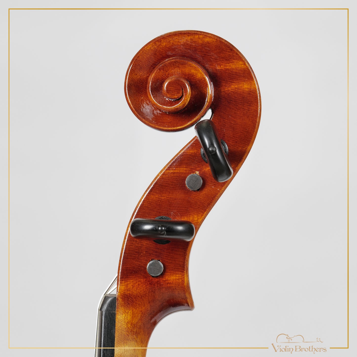 New Italian Violin - Renato Nasiero 2025 | N21415
